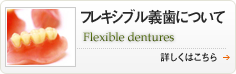 フレキシブル義歯について Flexible dentures